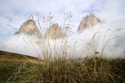 Photographic documentation of the dolomites particular of the sasso lungo group