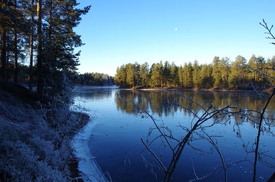 Scenic view of lake in forest against clear sky