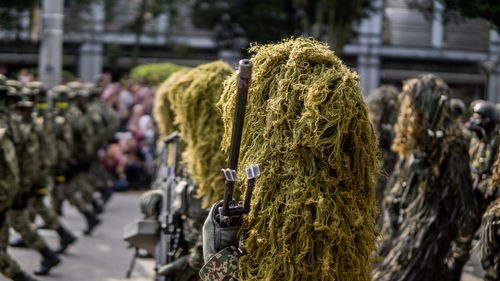 Close-up of stack of plants in city