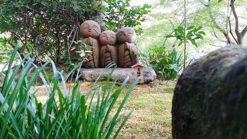 Close-up of plants against trees