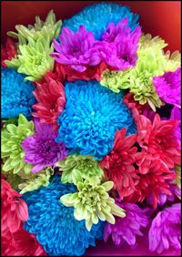 Close-up of multi colored flowers blooming outdoors