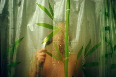 Portrait of man behind shower curtain