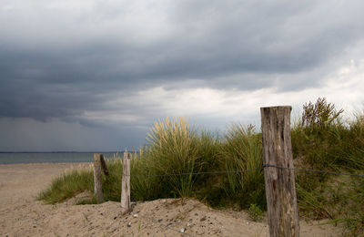Wooden posts on beach against sky