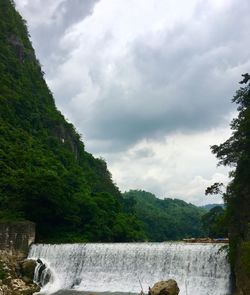 Scenic view of river amidst trees against sky