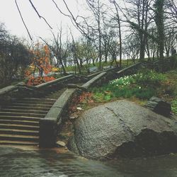 Footpath amidst trees