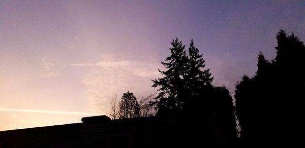 Low angle view of silhouette trees against sky at sunset