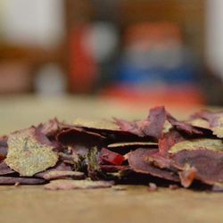 Close-up of leaves