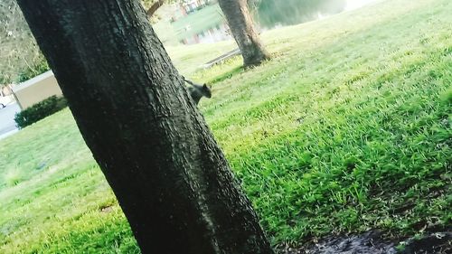 High angle view of agricultural field against sky