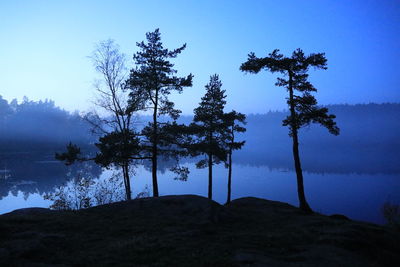 Low angle view of silhouette trees against clear sky