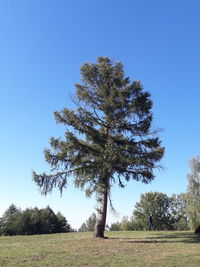 Tree on field against clear sky