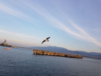 Seagull flying over sea against sky