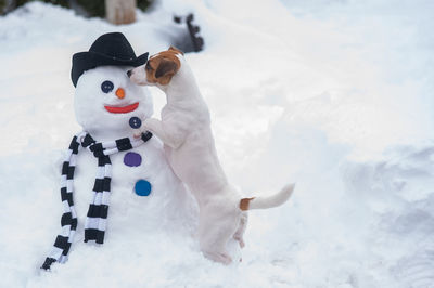 Close-up of snowman on snow
