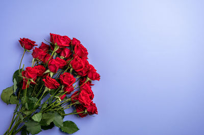 Close-up of red rose against blue sky