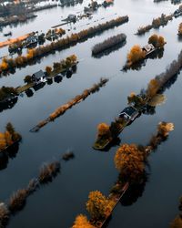 Low angle view of tree against sky