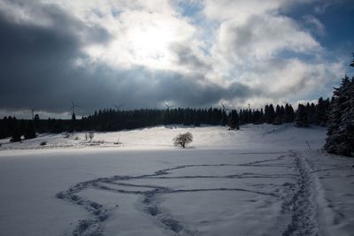 Panoramic view of snow covered trees against sky