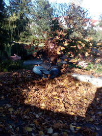 High angle view of people sitting on tree