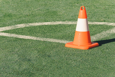 Traffic cone on grassy field