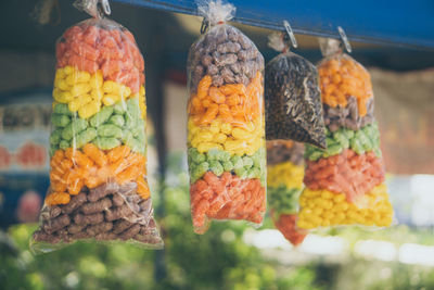 Close-up of fruits hanging in row