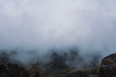 Scenic view of trees against sky