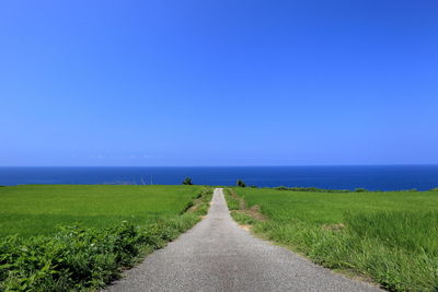 Empty walkway leading towards sea against clear blue sky