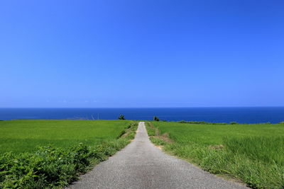 Empty road amidst grassy field leading towards sea