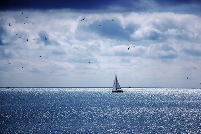 Silhouette birds flying over sea against sky