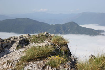 Scenic view of rocky mountains against sky