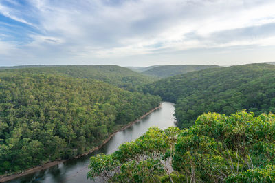 Scenic view of river amidst trees against sky