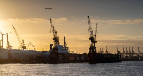 Cranes at harbor