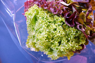 A bunch of assorted fresh lettuce in plastic packaging on a blue background