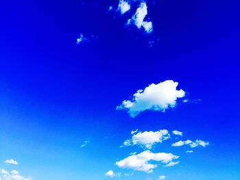 Low angle view of trees against blue sky