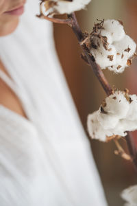 Close-up of white holding ice cream