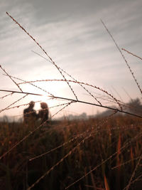 View of barbed wire fence on field against sky