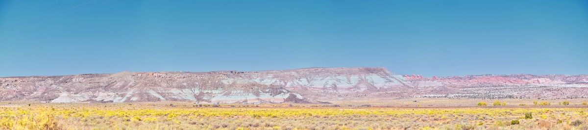 Scenic view of field against clear blue sky