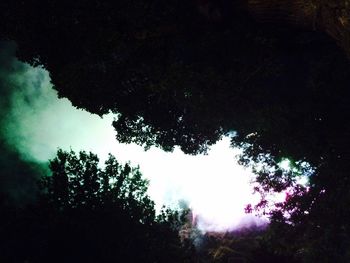 Low angle view of trees against sky