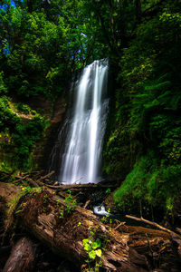 Scenic view of waterfall in forest