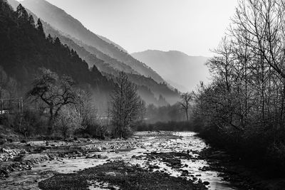 River flowing through misty mountain valley covered with dense forests at dawn in black and white