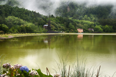 Scenic view of lake and trees against sky