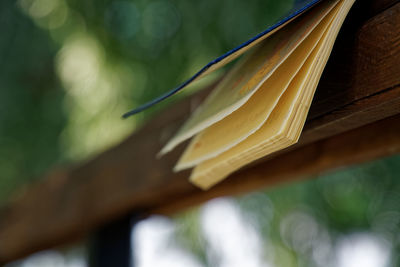 Notebook on the bench