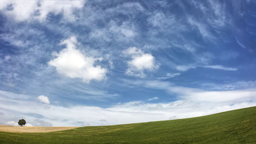 Scenic view of field against sky