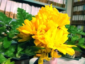 Close-up of yellow flowers