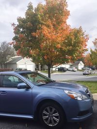 Cars parked on street in front of trees against sky