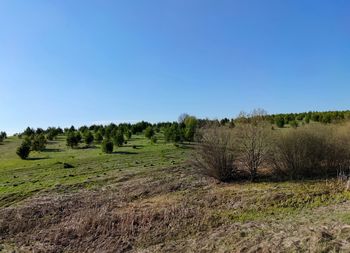 Scenic view of land against clear blue sky