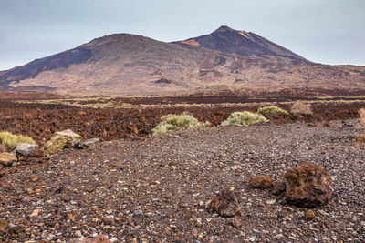 View of a desert