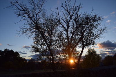 Silhouette bare trees on landscape against sky at sunset