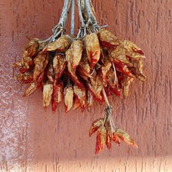 Close-up of objects hanging on wall