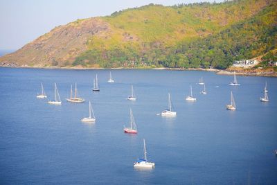 Sailboats sailing in sea against mountain