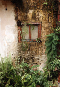 Abandoned building entrance