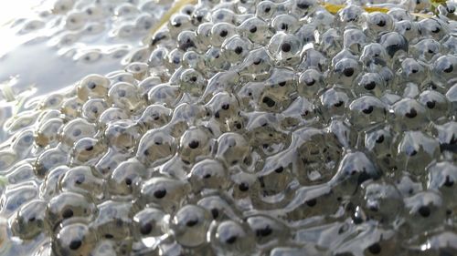 Full frame shot of tiled floor