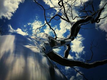 Low angle view of bare trees against sky